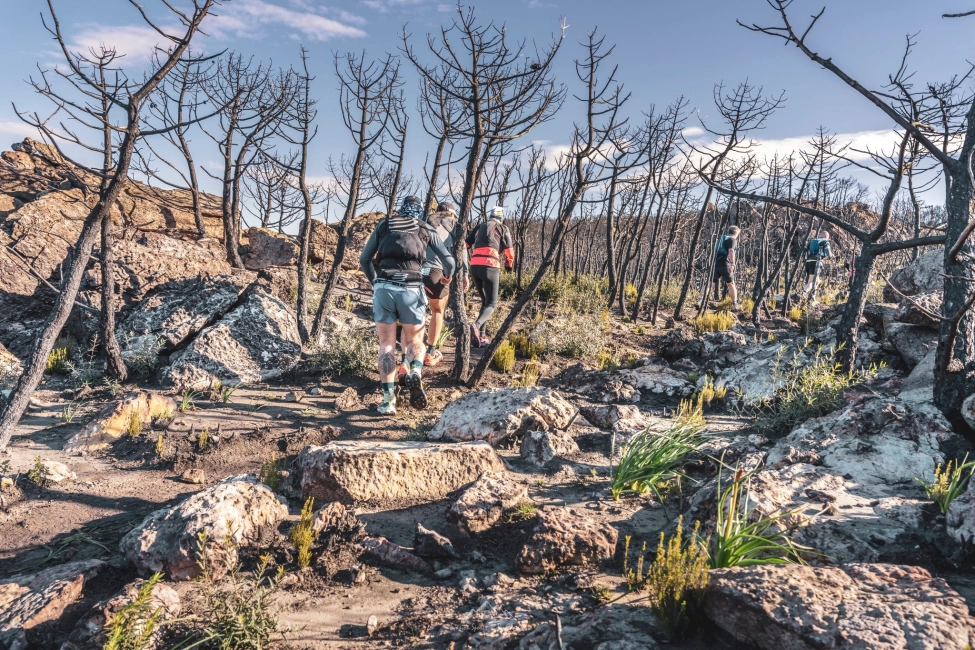 Image Trail de Fontfroide